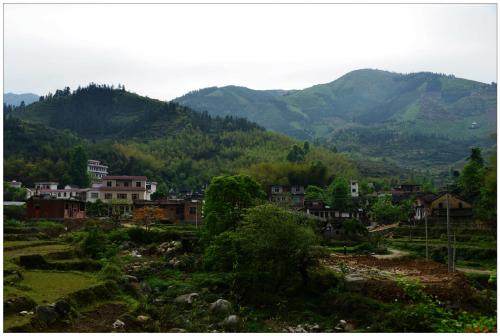 手機信號放大器|農村地區的電信信號好嗎