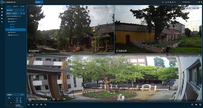 千歲古樹配“護衛”，5G科技進步全天監控