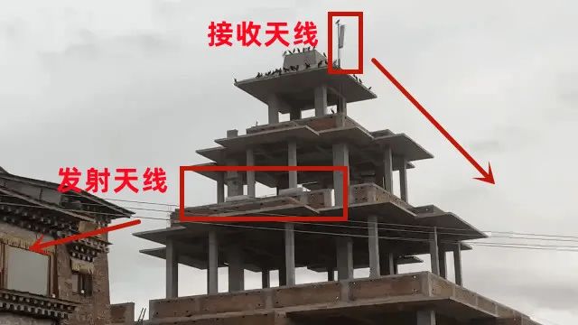 1702697885424154.jpg 6.jpg